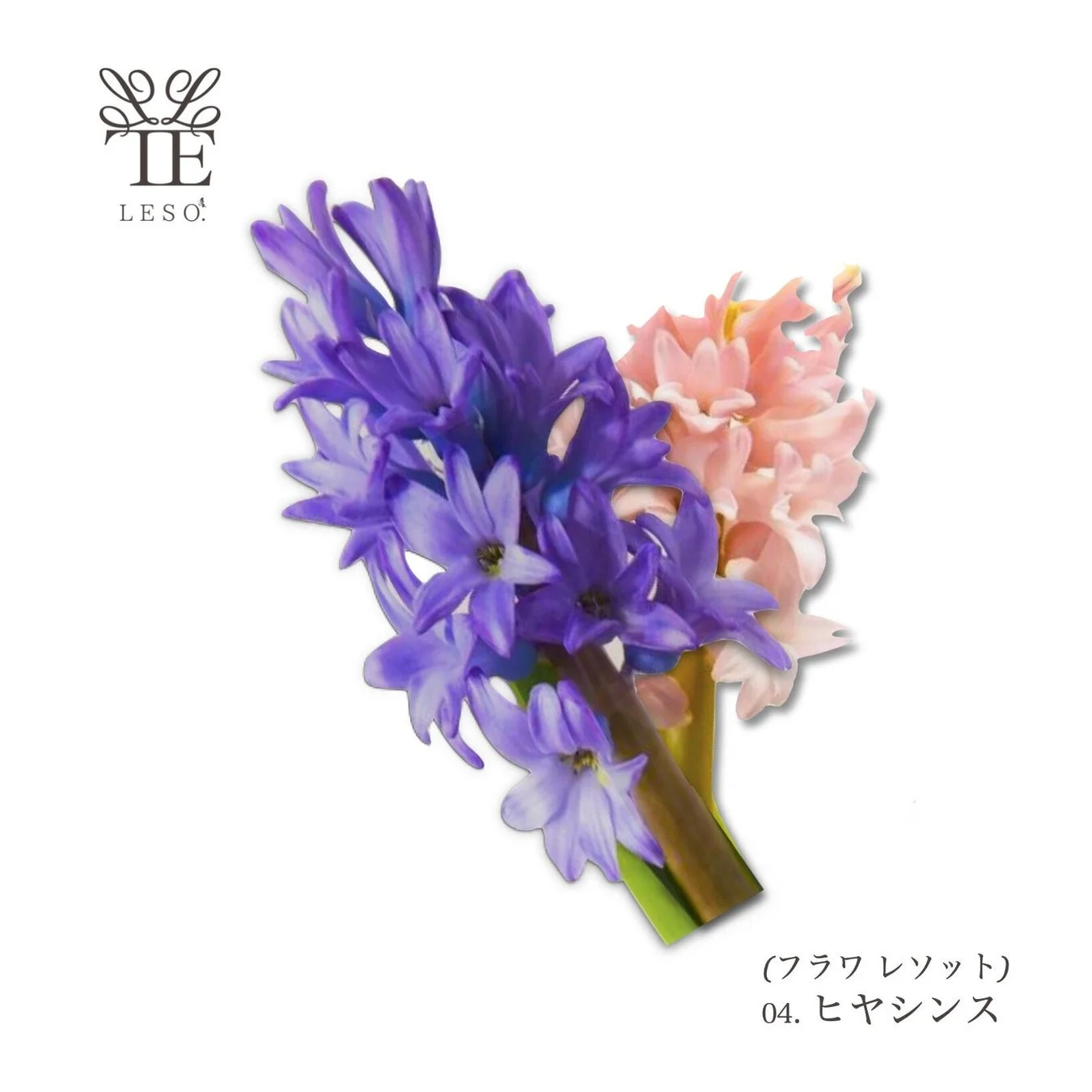 Hyacinth bouquet