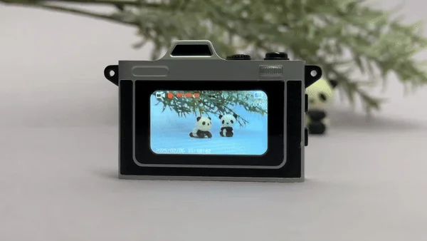 カメラの液晶画面を見ながら撮影する女性