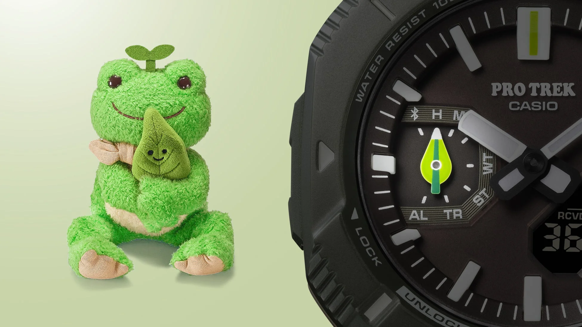 緑色のカエルのぬいぐるみと、黒いCASIO PRO TREKの腕時計が並べられた画像