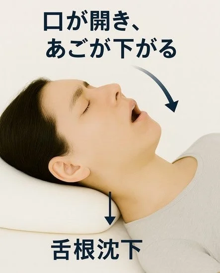 トラタニが舌根沈下を防ぎ呼吸を促す新特許枕構造を開発、質の高い睡眠をサポート