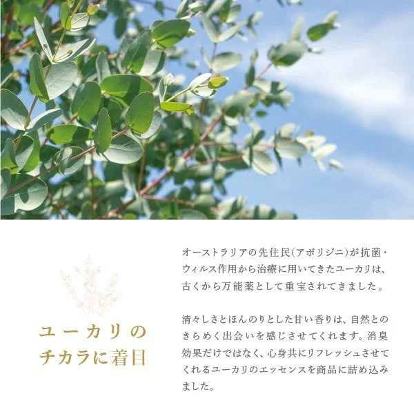 ユーカリの植物と説明