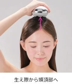 生え際から頭頂部へ