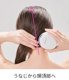 うなじから頭頂部へ