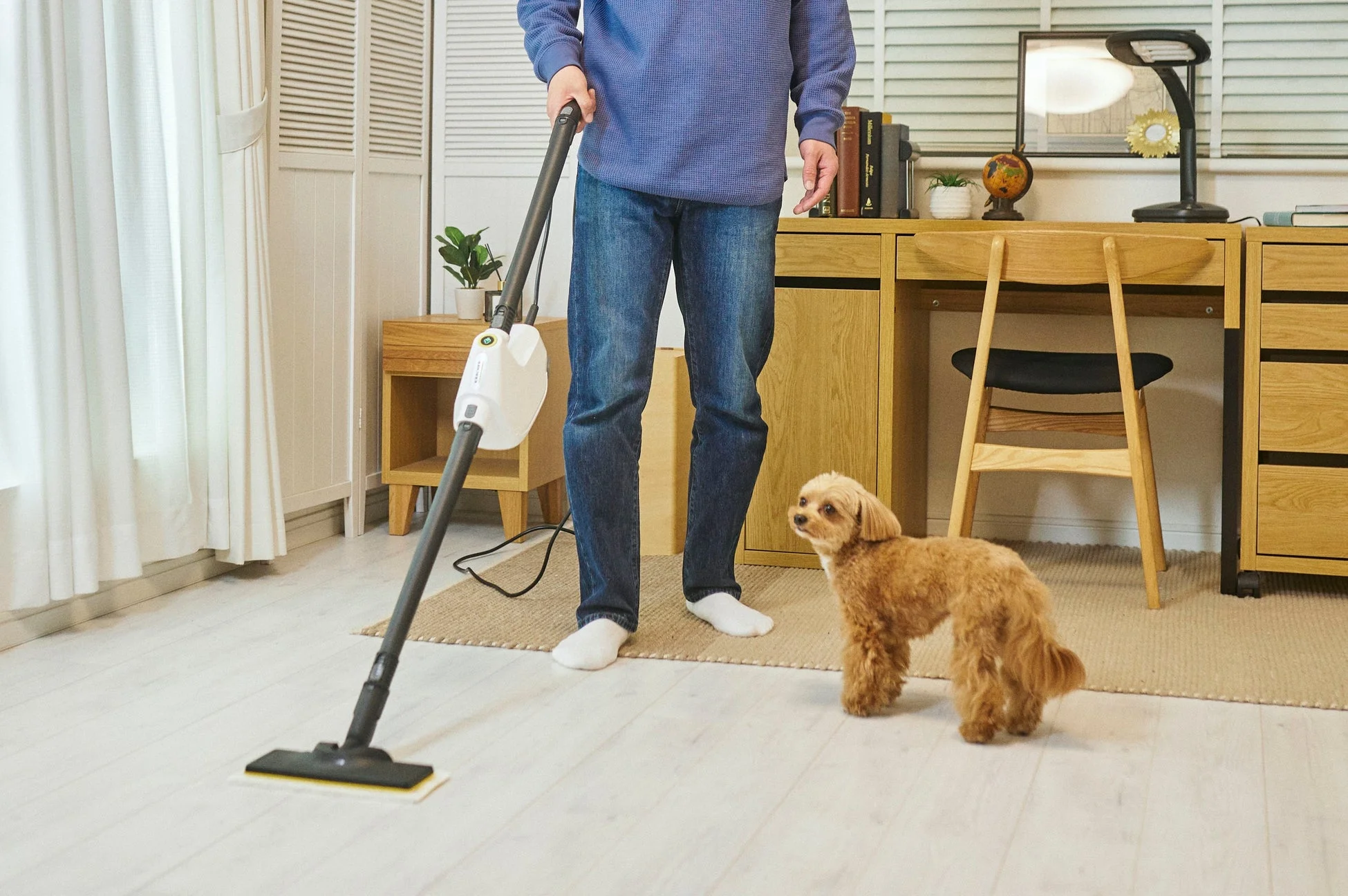 男性がリビングで床をスチームモップで掃除しており、その傍らで小さな犬が興味深そうに見守っています。清潔感のある部屋での日常的な家事の風景です。