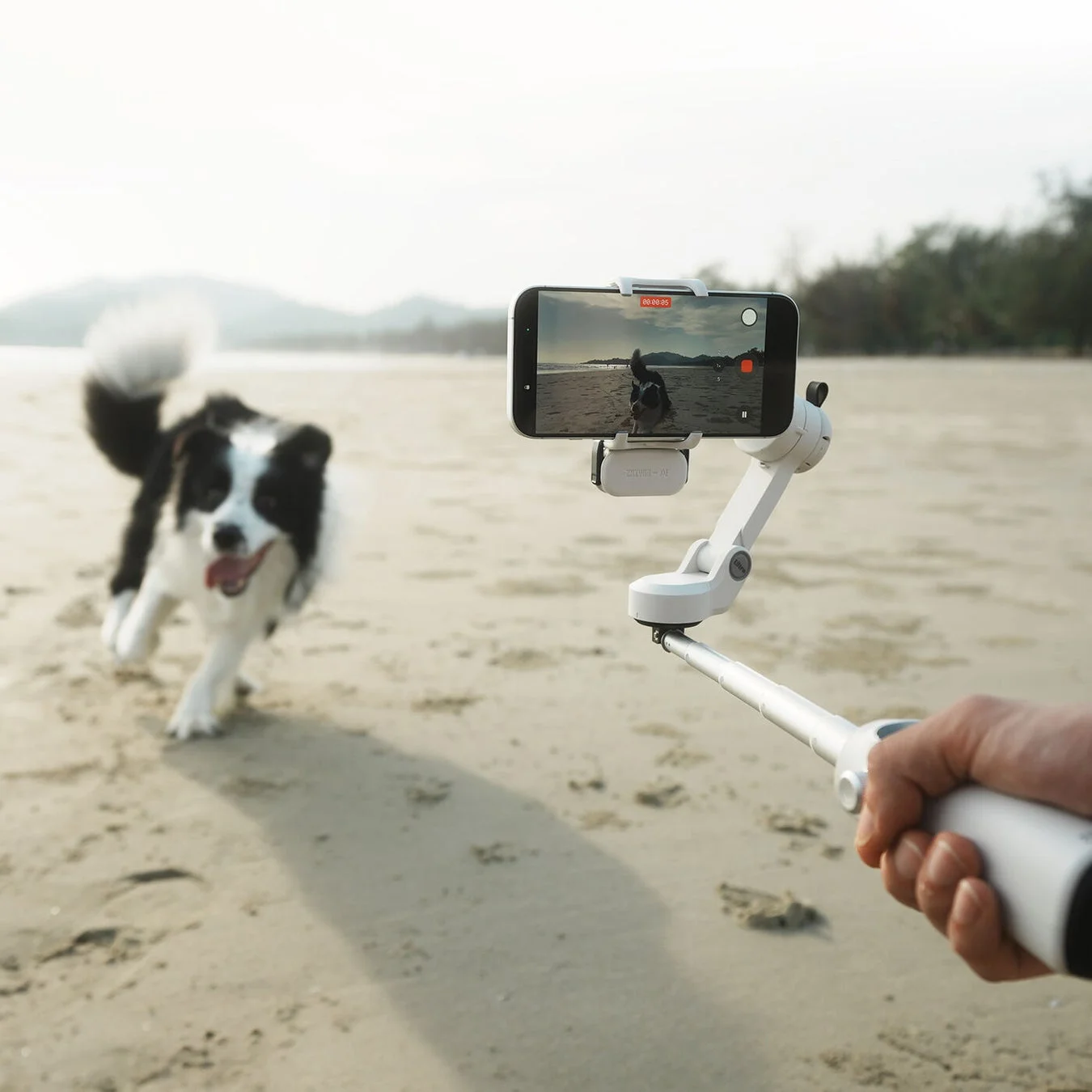 延長ロッド内蔵