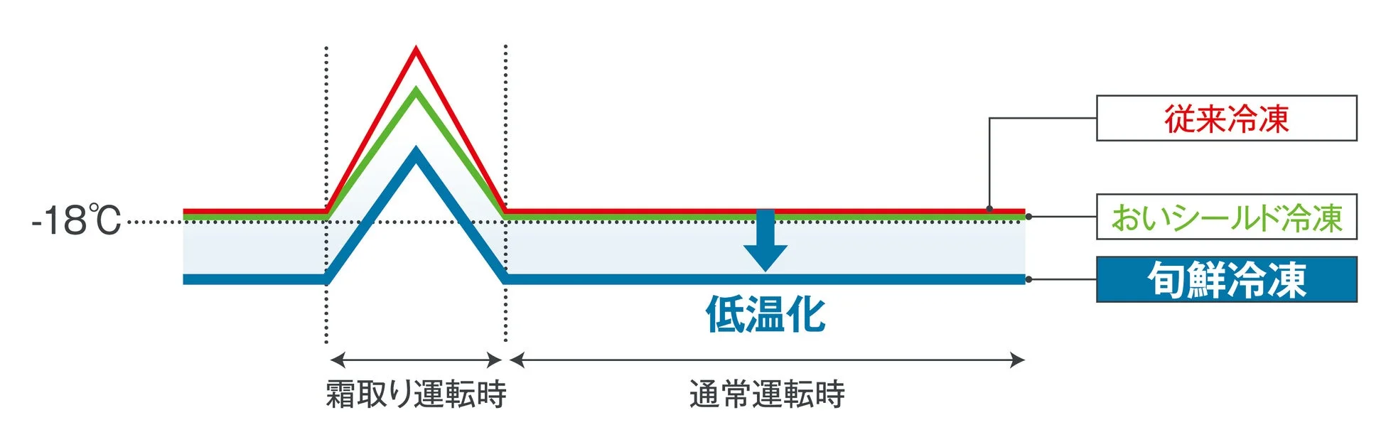旬鮮冷凍の温度変化