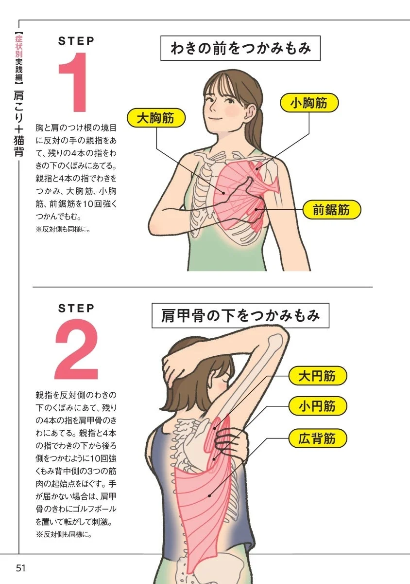 肩こりマッサージ図解