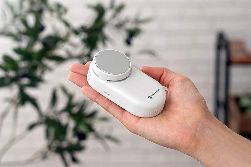 手のひらサイズ