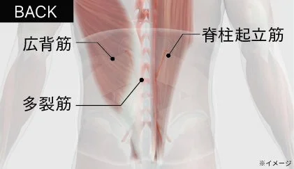 アプローチ部位背面
