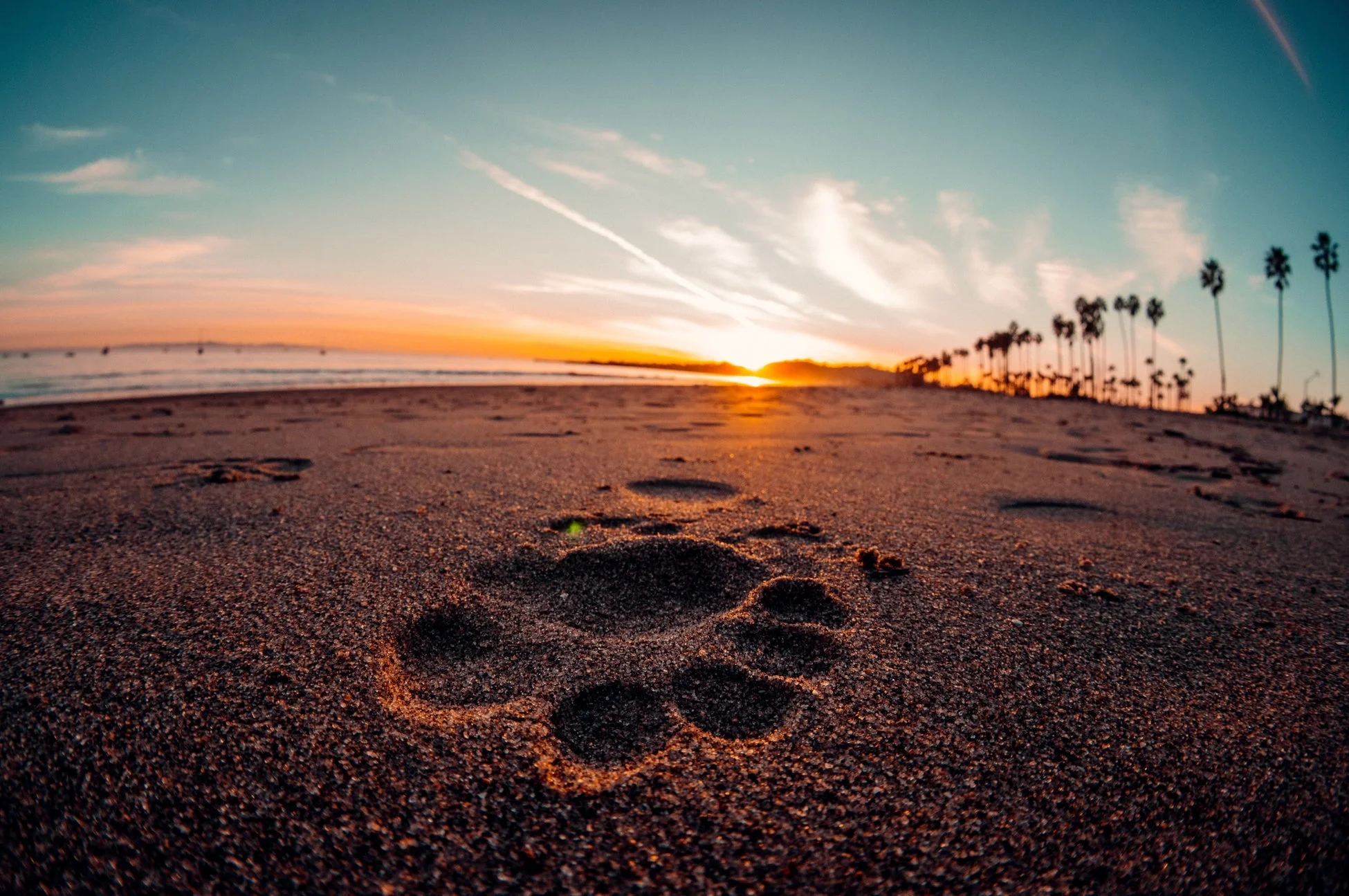 夕焼けのビーチ