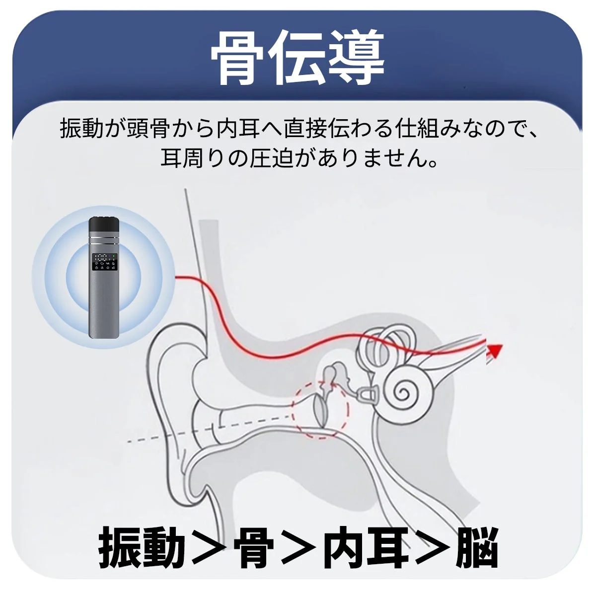 骨伝導の仕組みを説明する画像です。振動が頭骨から内耳へ直接伝わり、耳への圧迫がないことを示しています。振動が骨を介して内耳、脳へと伝わる経路を図解しています。