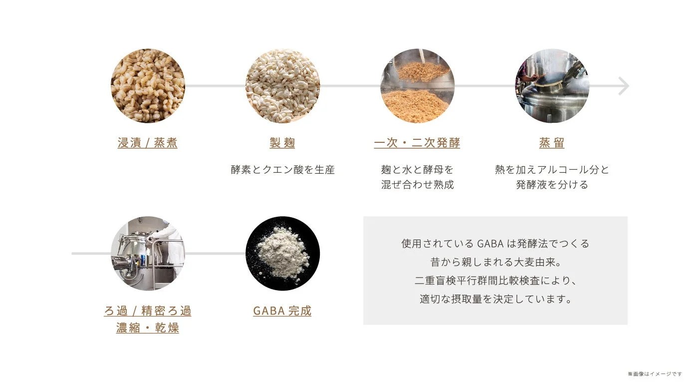 GABAの製造工程