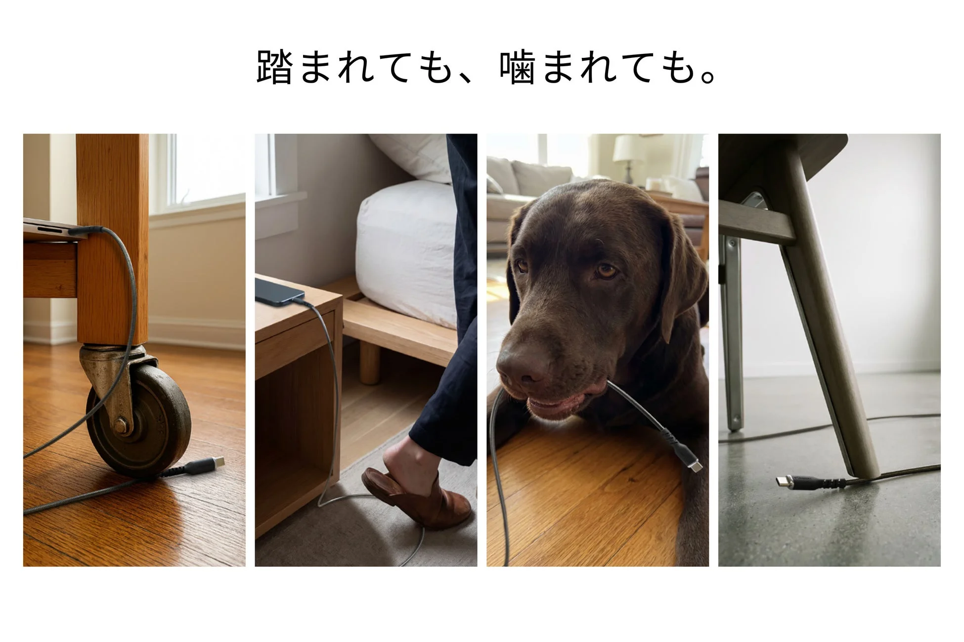 踏まれても、噛まれても。