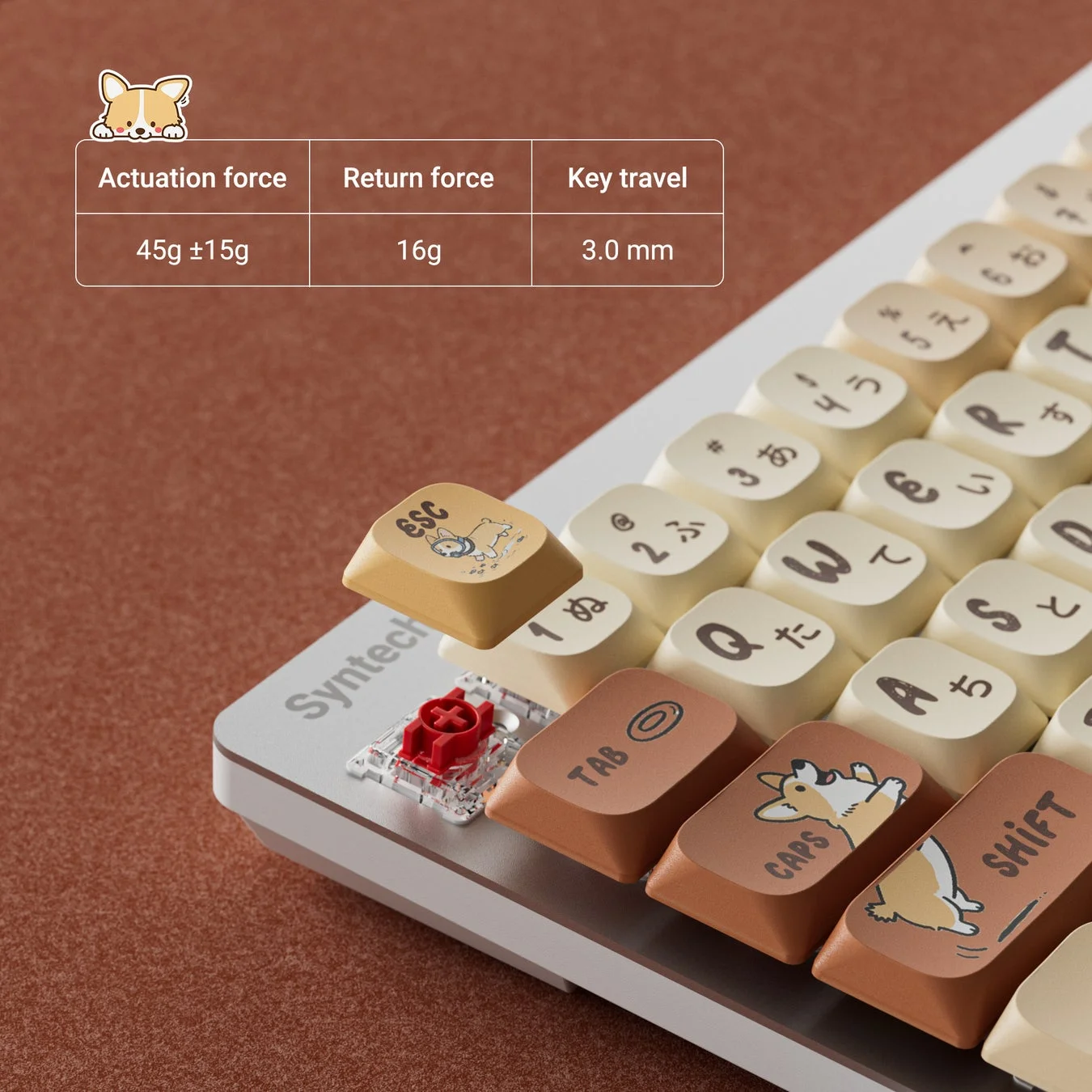 ロープロファイル赤軸のクローズアップ