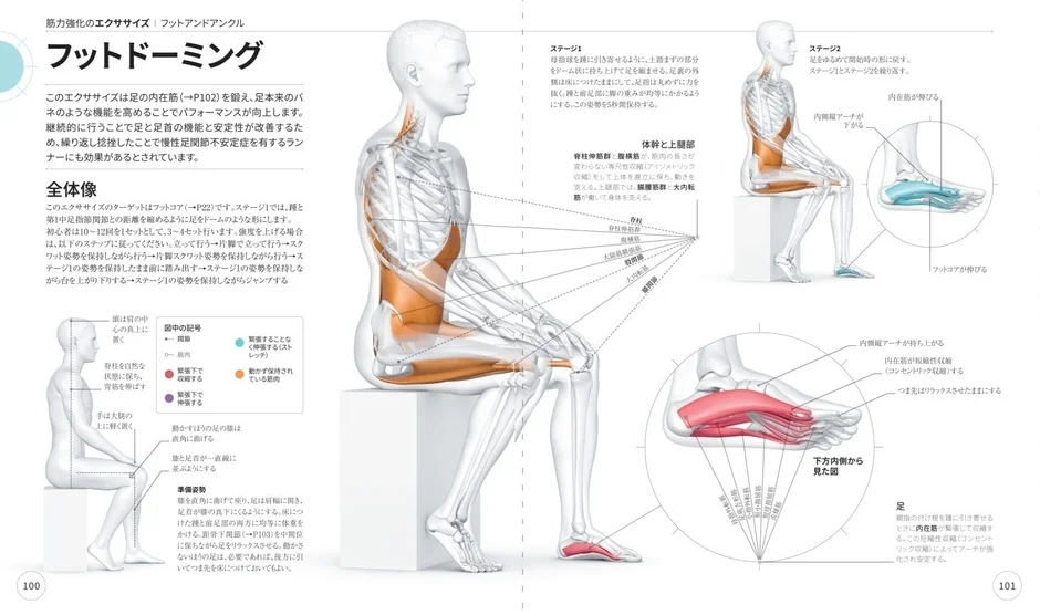 筋力強化のエクササイズ