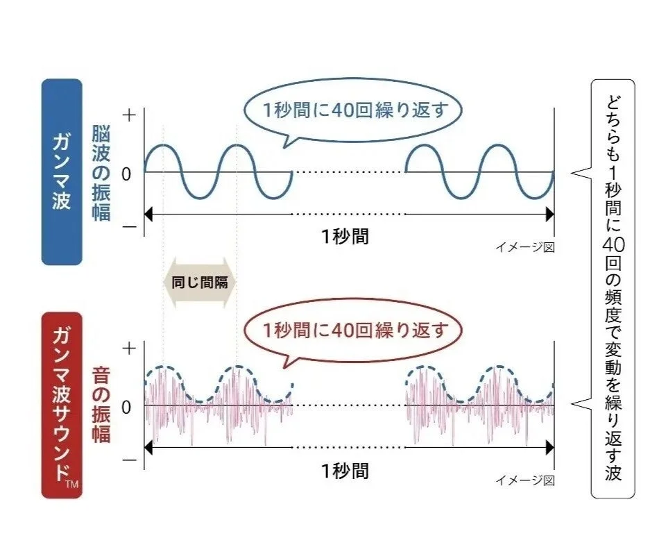 ガンマ波サウンドの仕組み