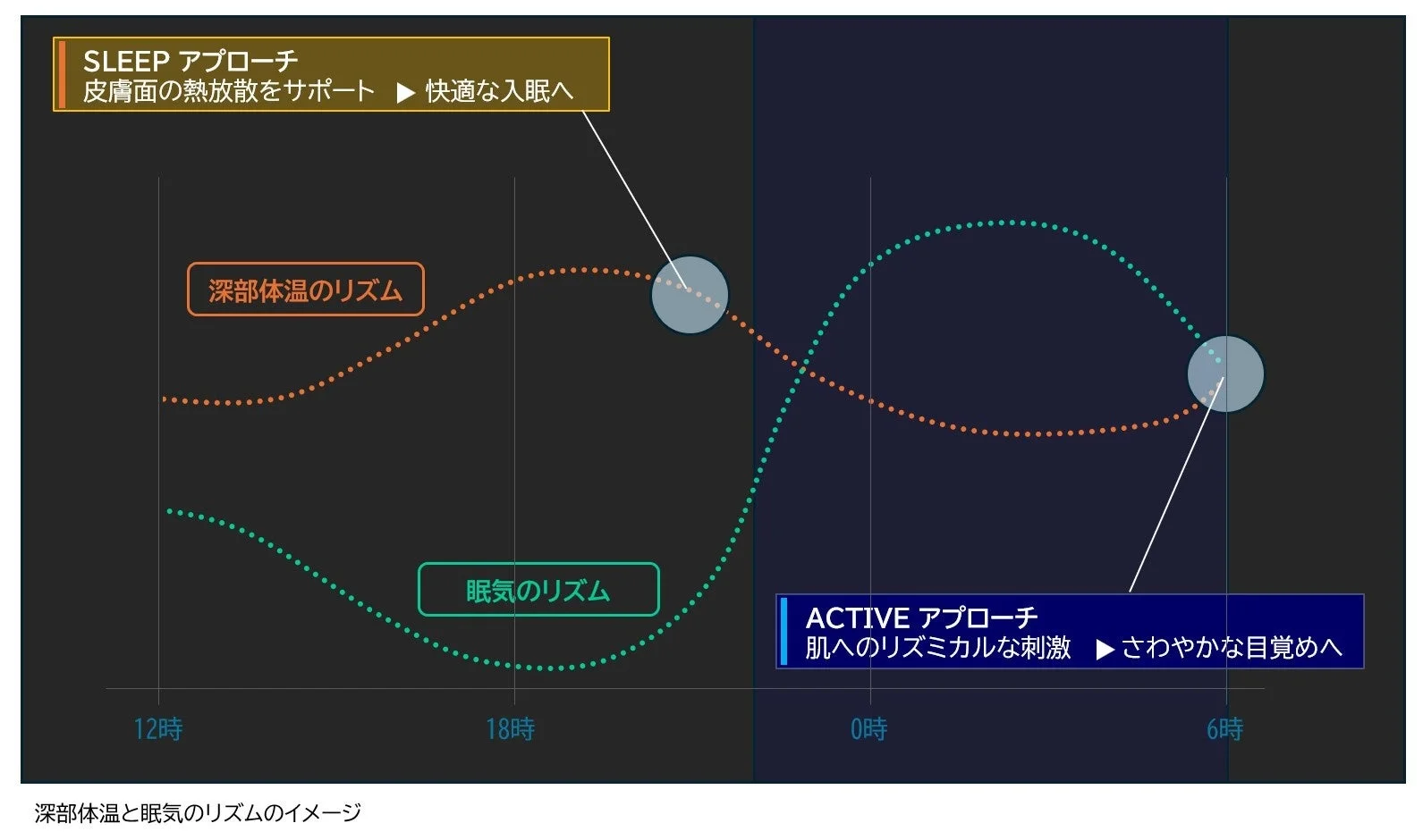 深部体温と眠気のリズムのグラフ
