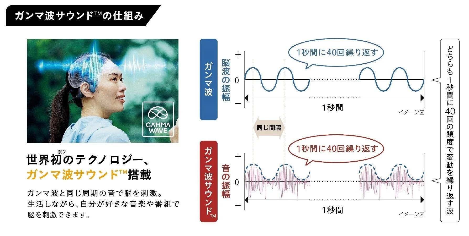 世界初のガンマ波サウンド™の仕組みを解説する画像です。