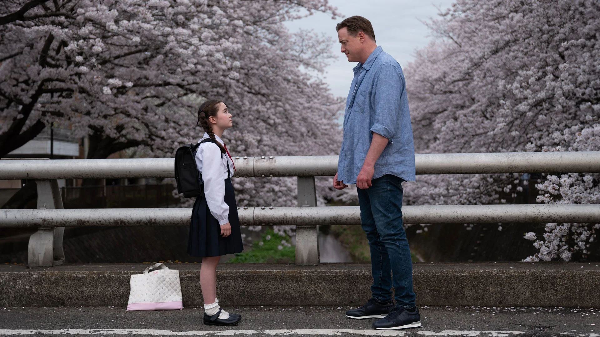 桜並木と橋のシーン