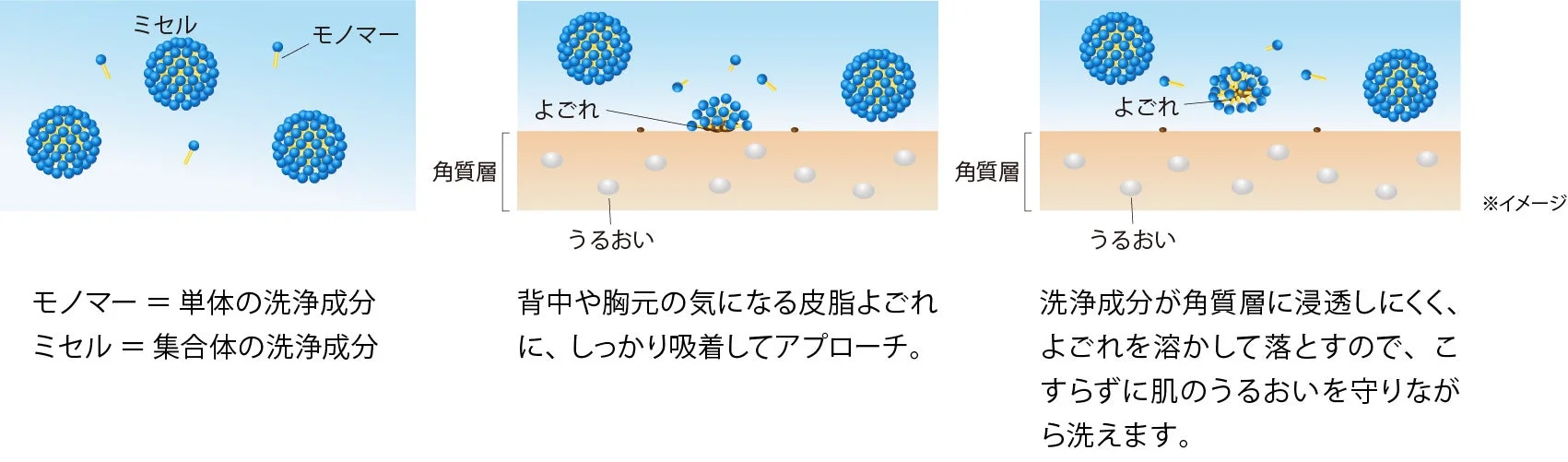 ミセル洗浄のメカニズムを図解