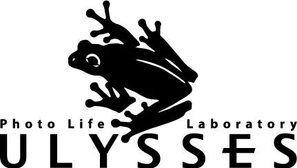 ULYSSESのロゴマーク