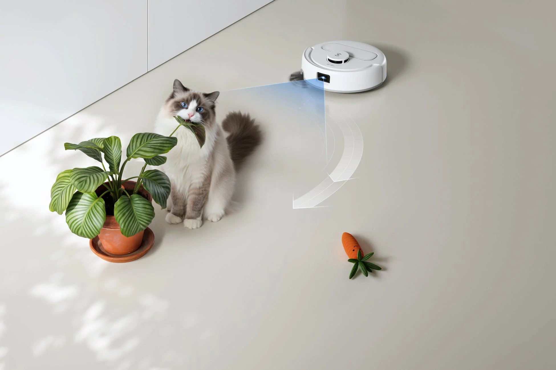 猫とロボット掃除機が障害物を回避