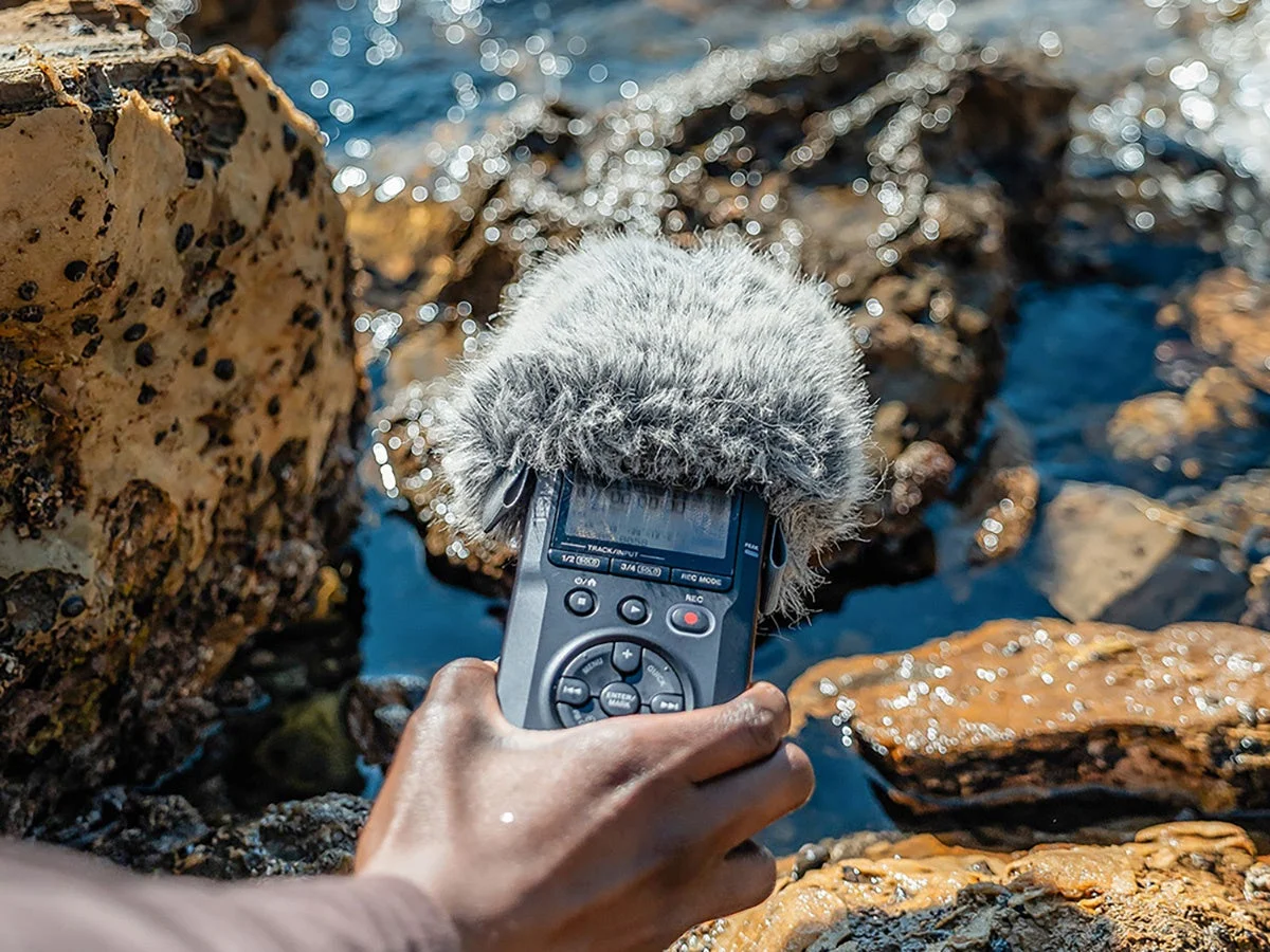 フィールドレコーディング