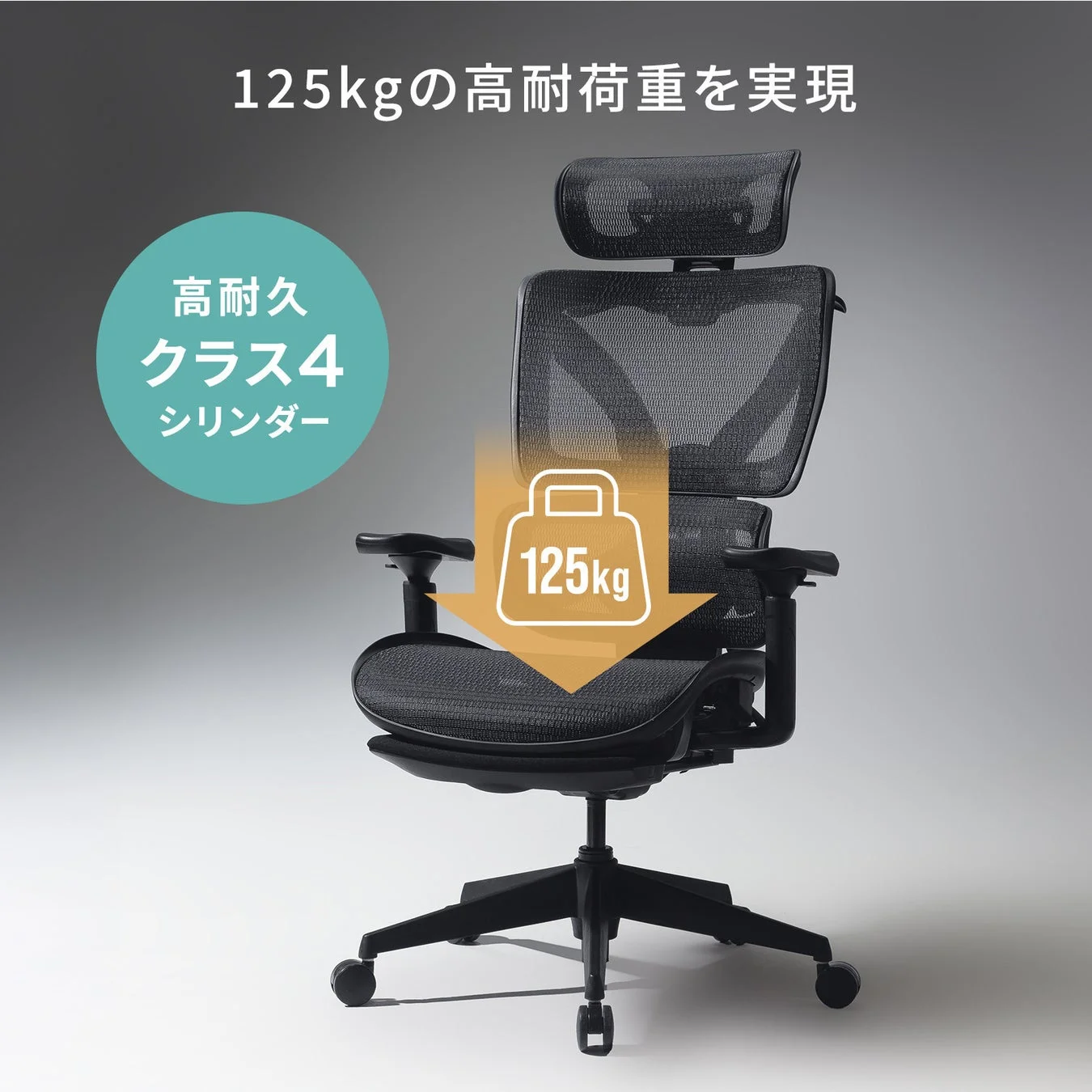 125kgの高耐荷重を実現