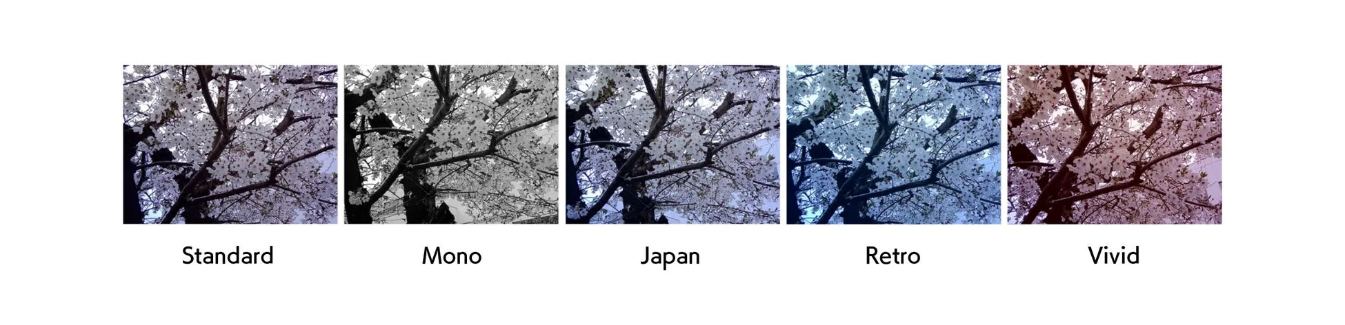 5種類のフィルター効果の比較