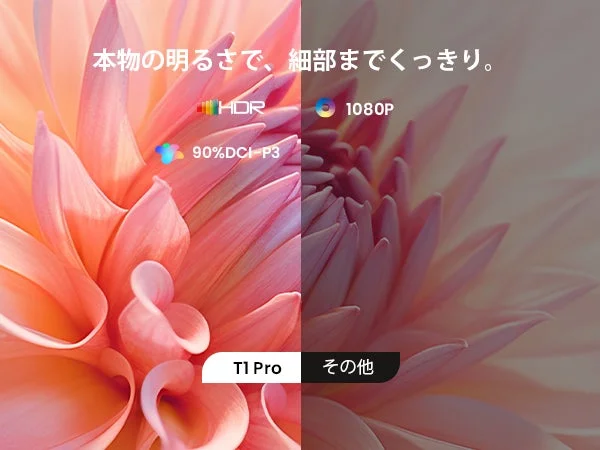 ディスプレイ画質比較