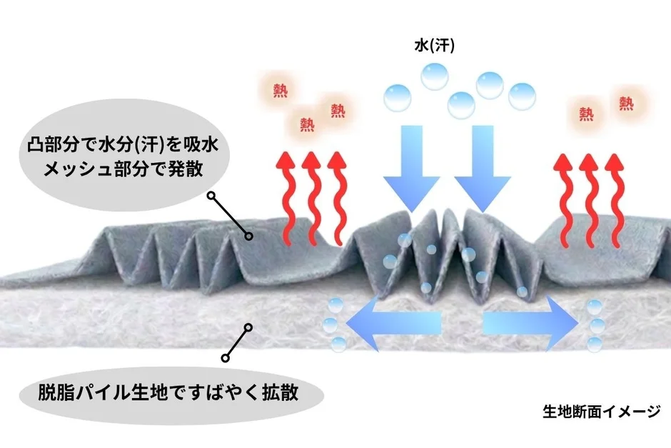 生地断面イメージ