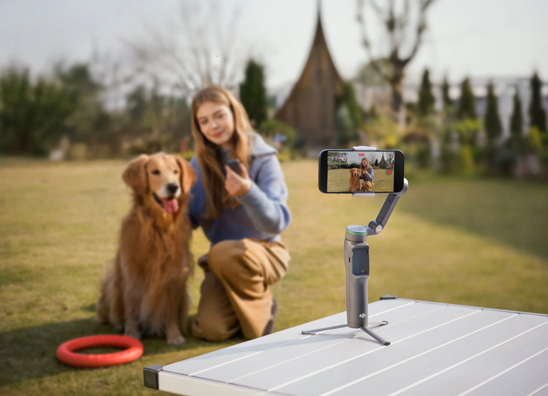 女性がジンバルで犬を撮影