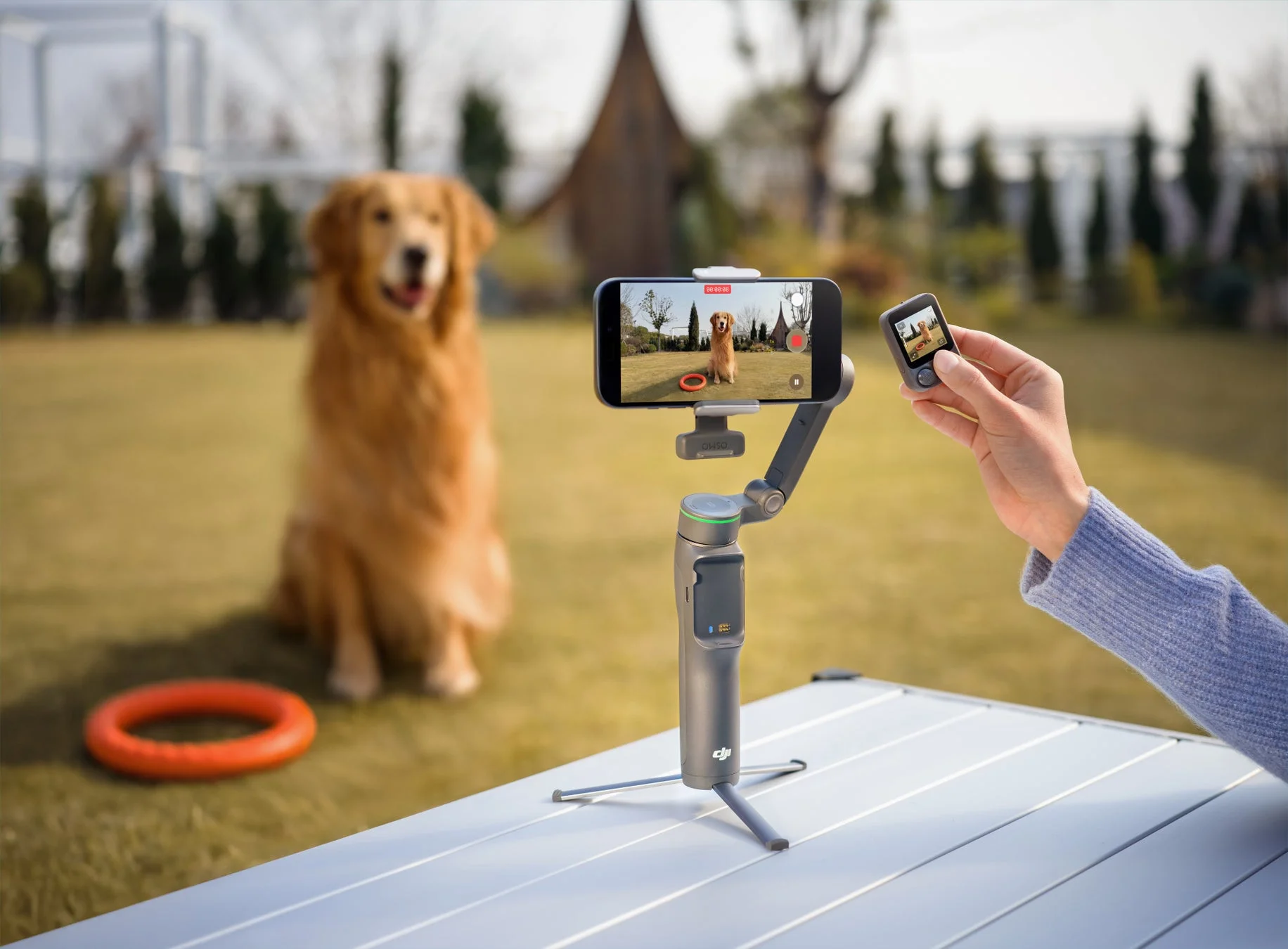 犬をジンバルで撮影する様子