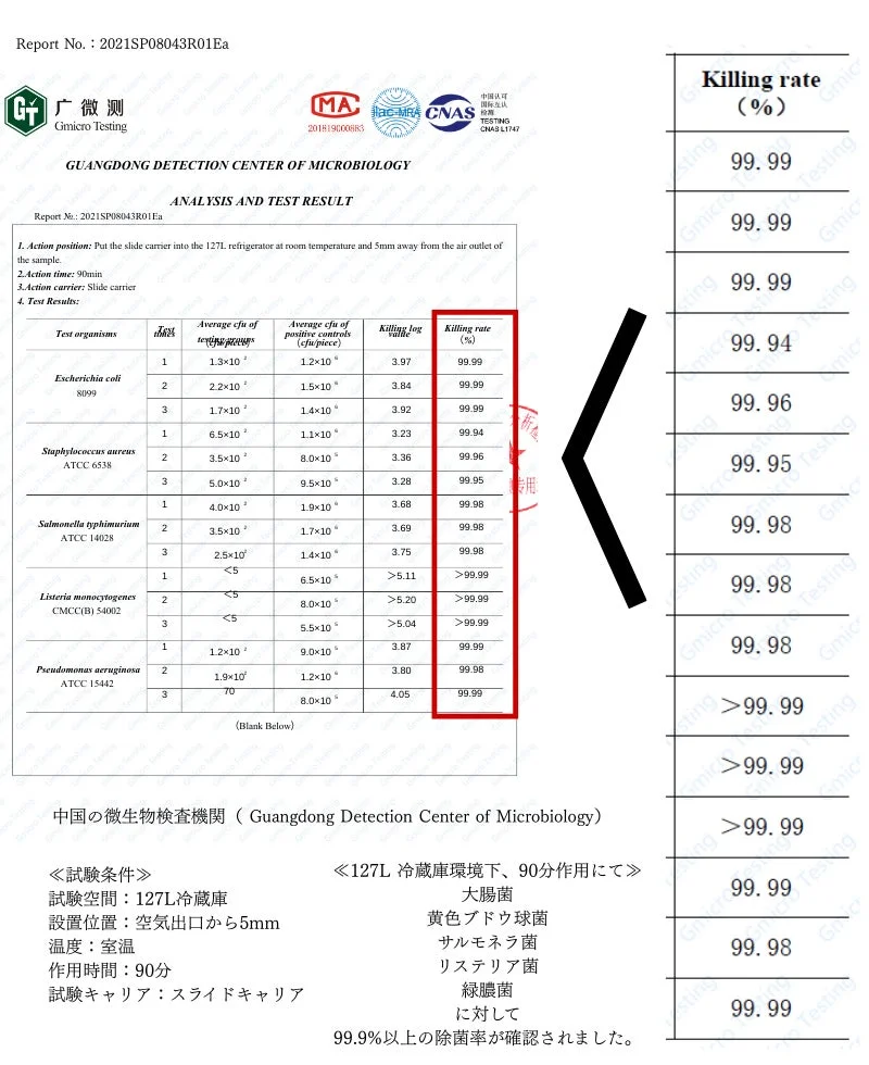 微生物検査報告書