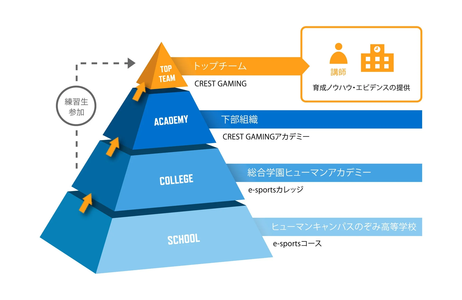 CREST GAMING育成システム