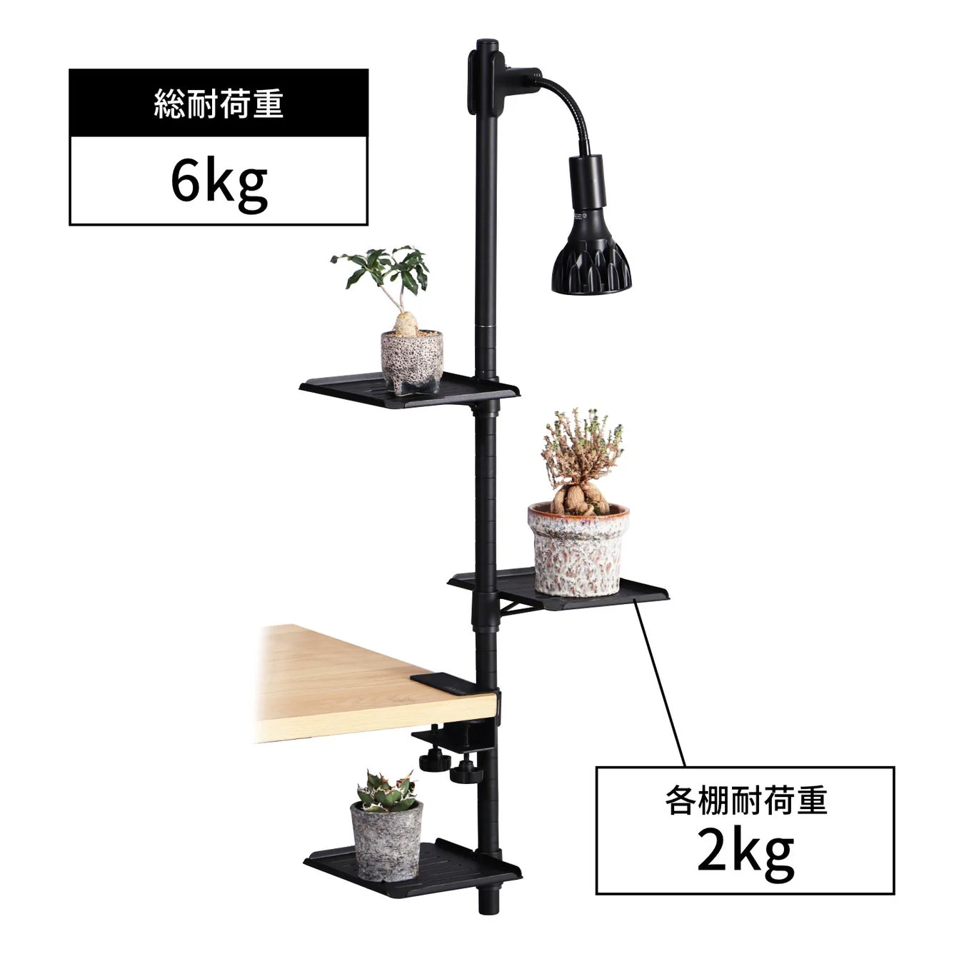 デスクにクランプで固定するタイプの多段ラックで、観葉植物が飾られています