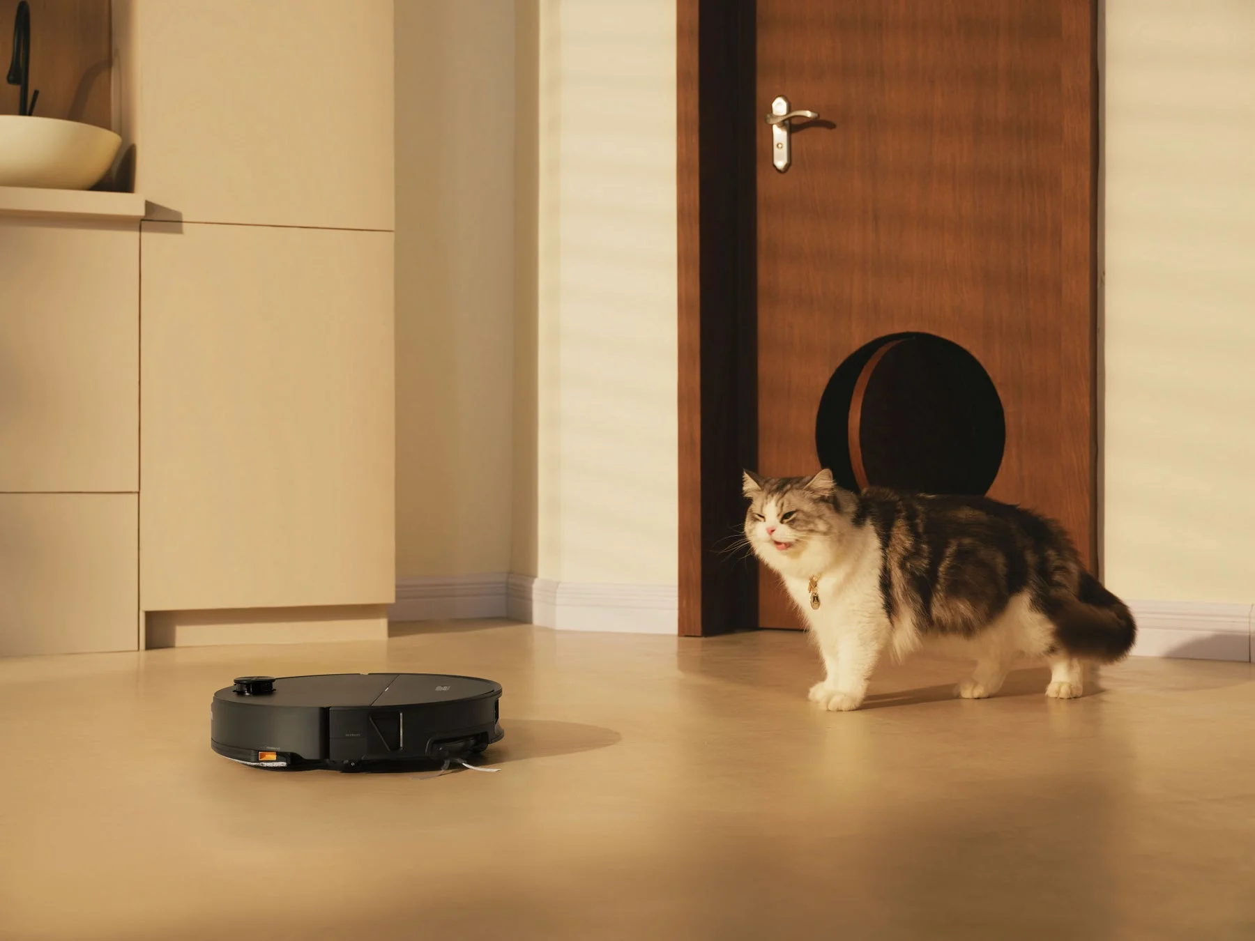 猫がいる部屋で段差を乗り越えるロボット掃除機