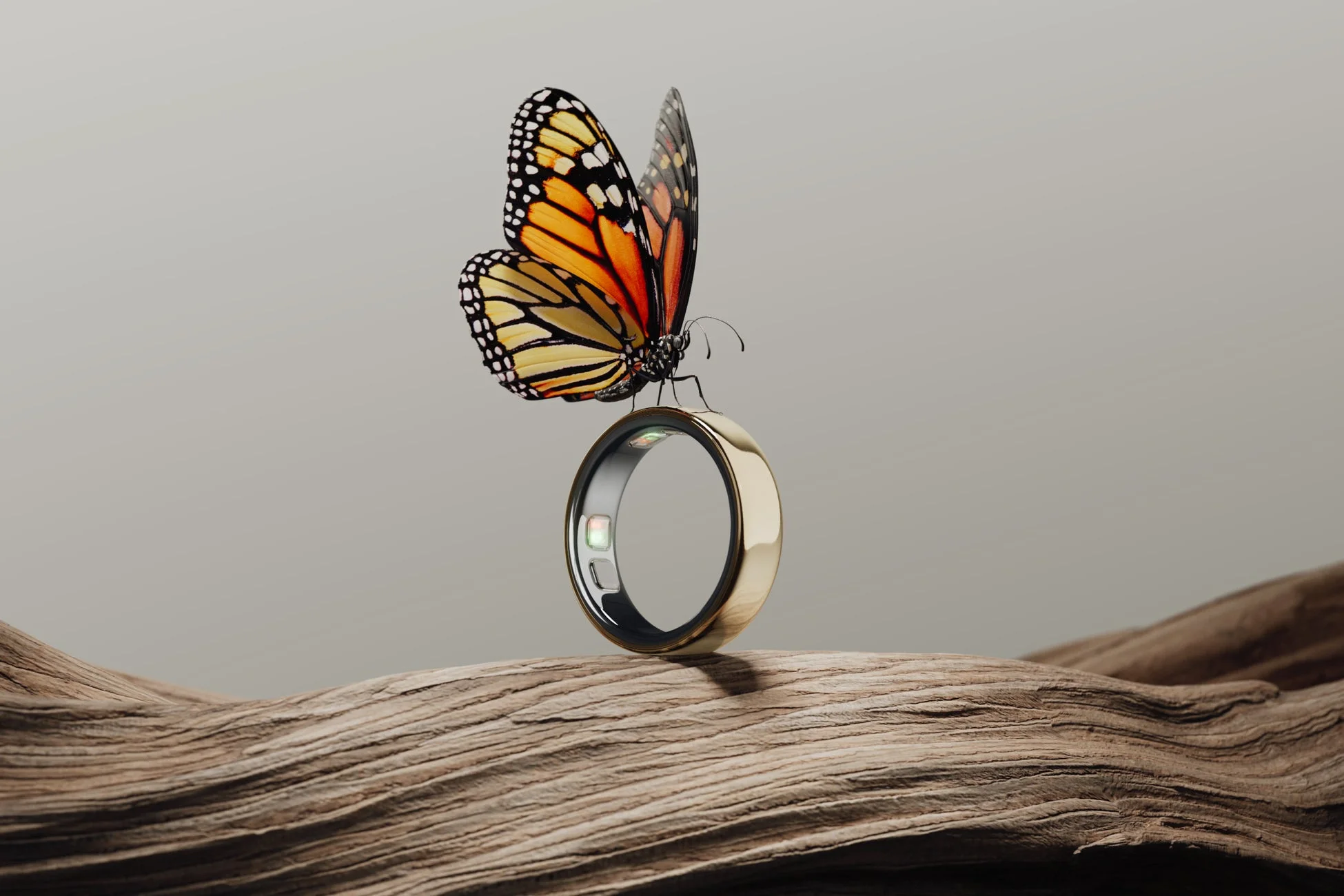 木に置かれたOura Ring 5
