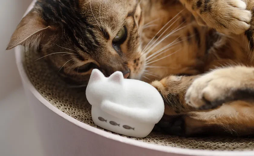 爪とぎの上でリラックスしているキジトラ猫が、白い猫の形をしたおもちゃを見つめている