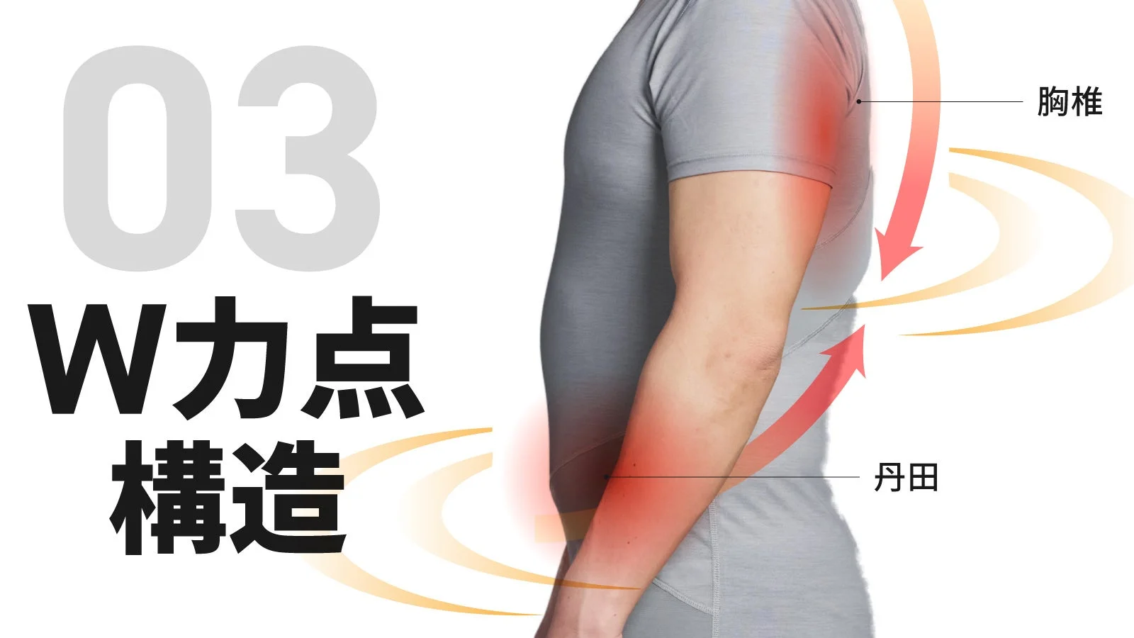 W力点構造