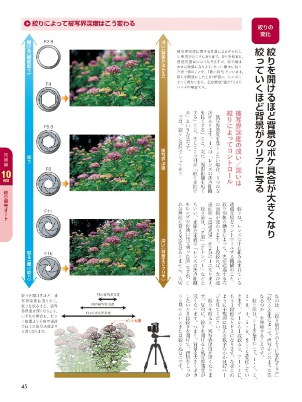 絞りによる被写界深度の変化