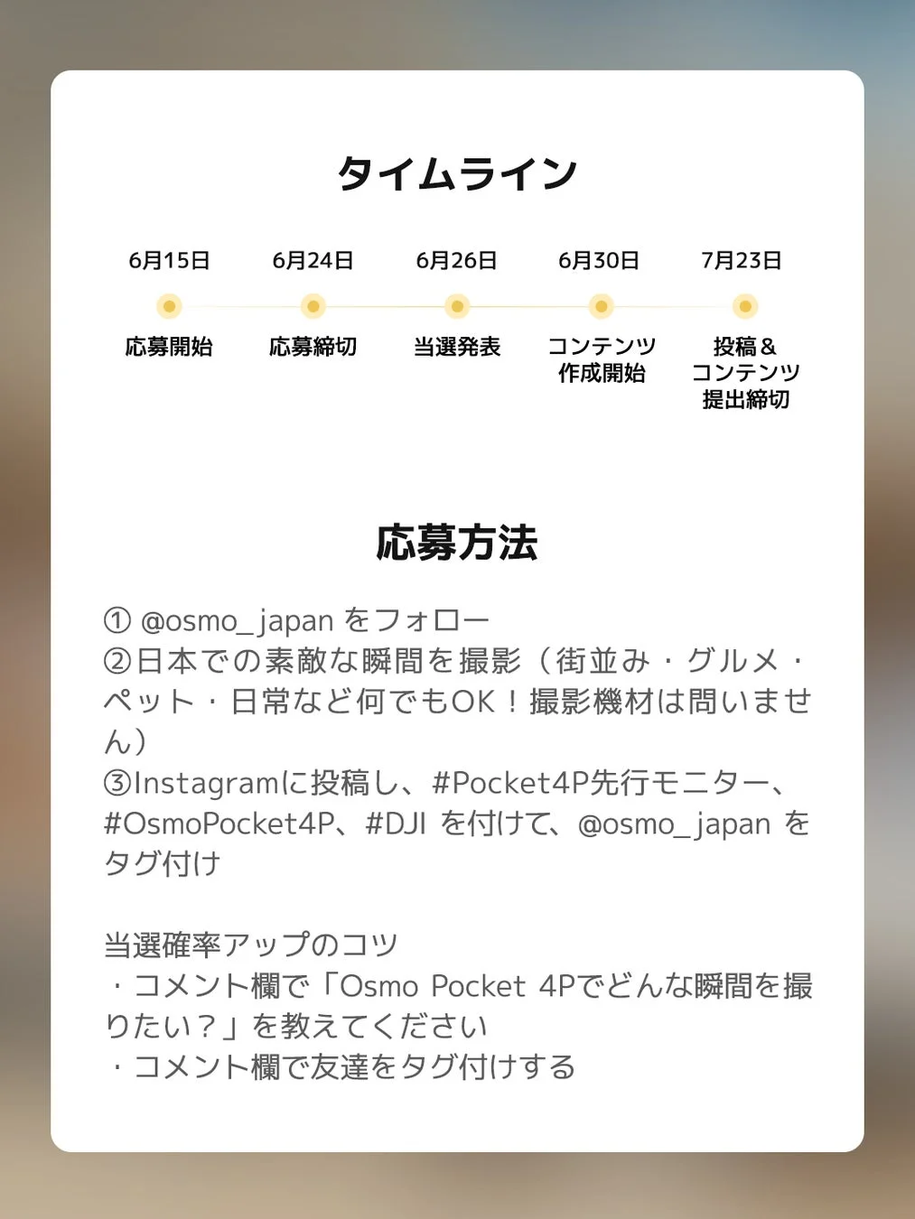 キャンペーンタイムライン