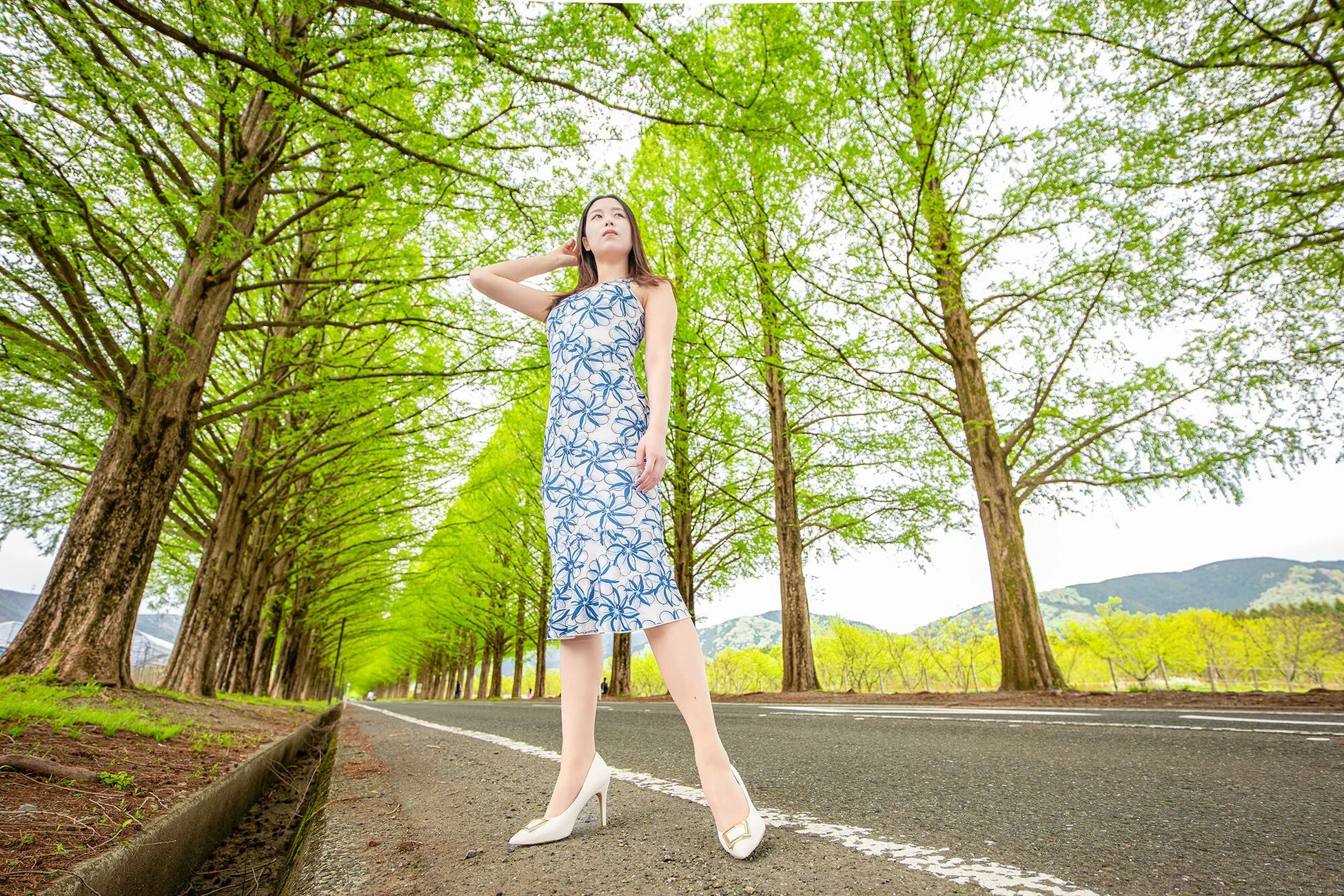 女性と並木道