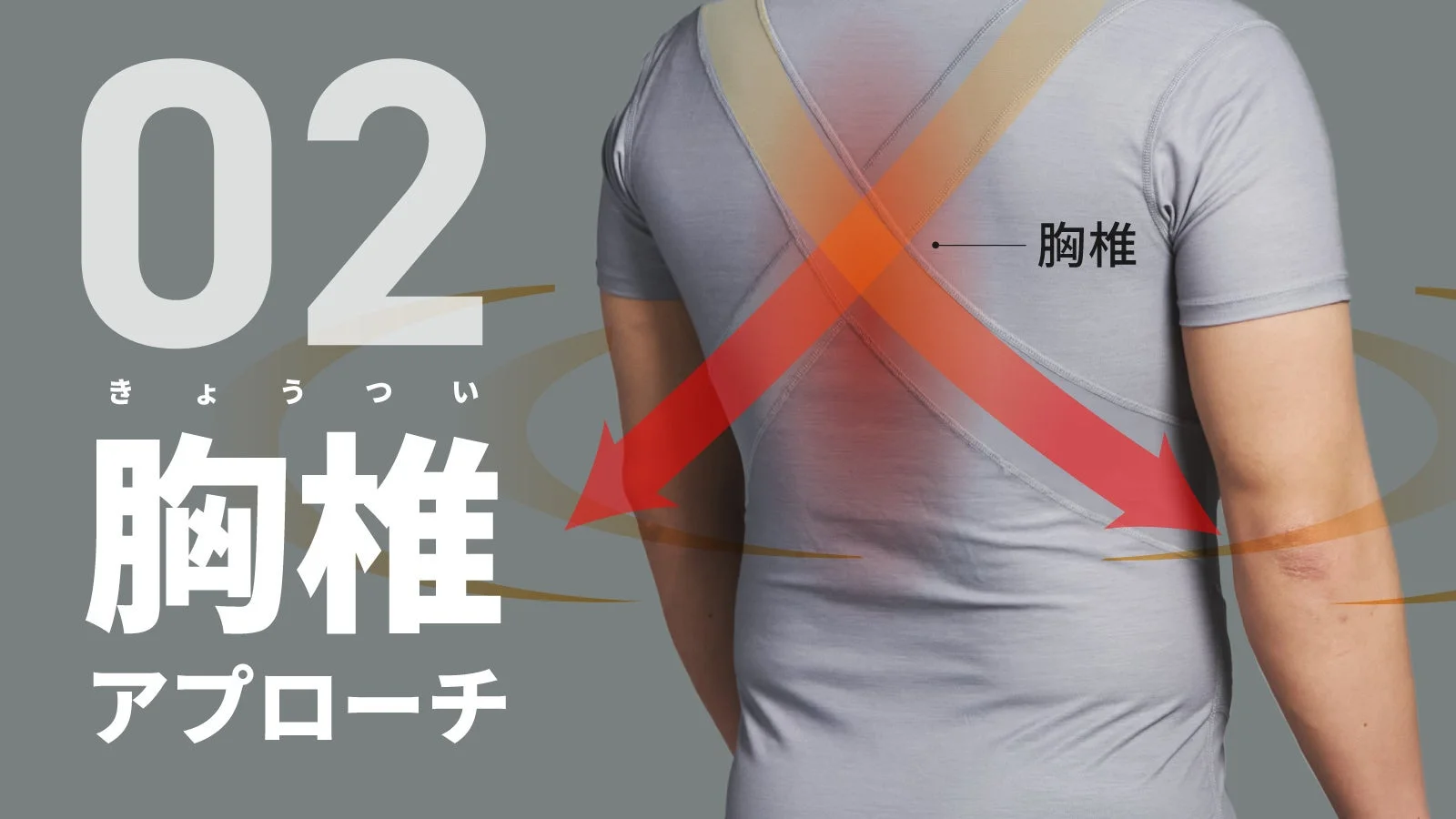 胸椎サポート構造