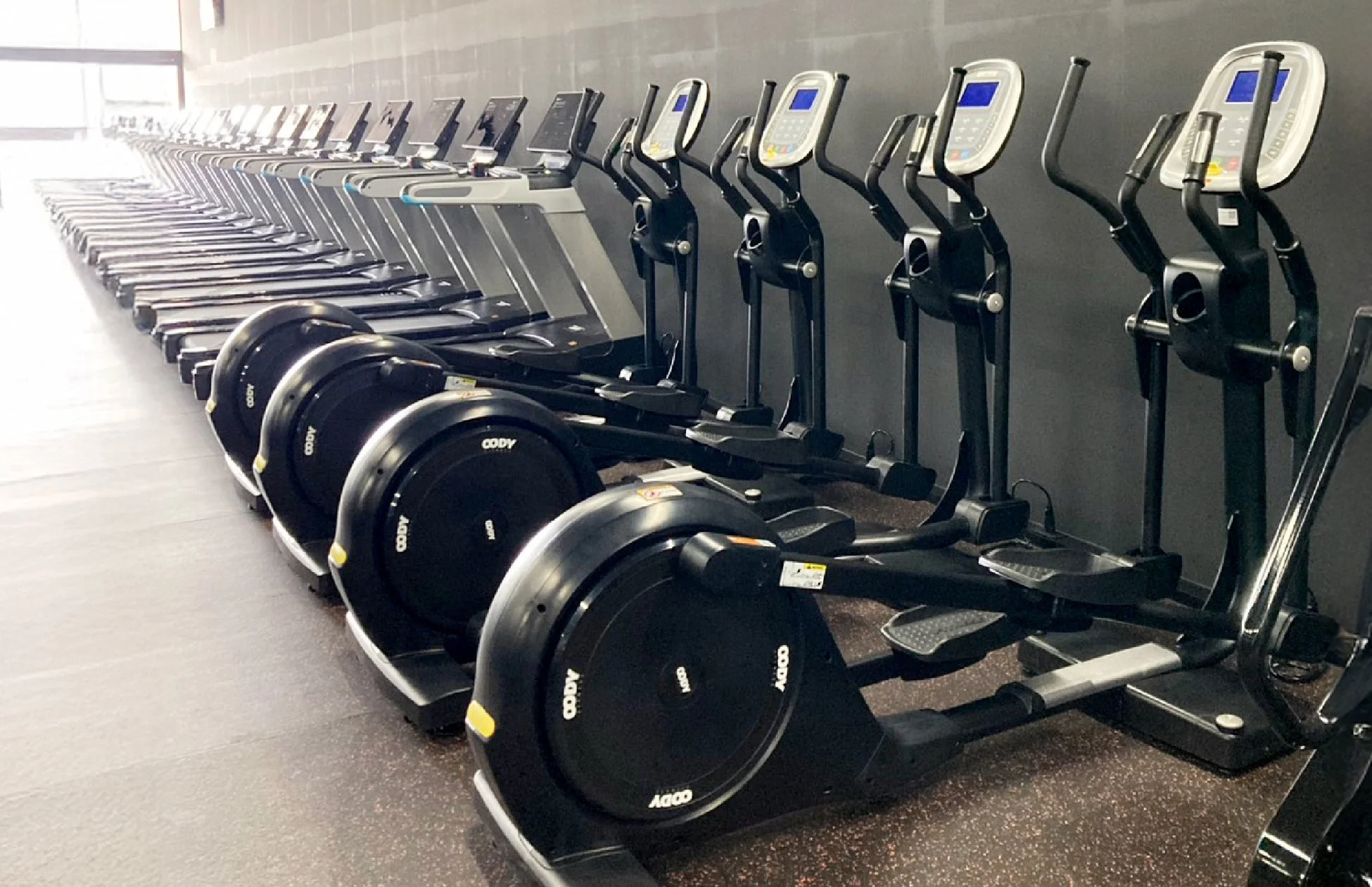 ジムの内部で、手前には複数のエリプティカルマシンが、奥にはランニングマシンが整然と並べられています