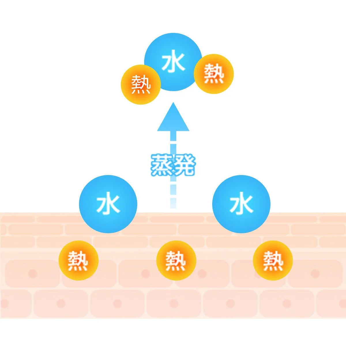 気化熱の仕組み