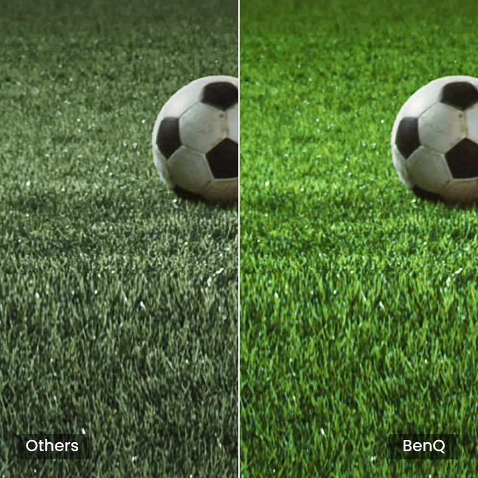 サッカー芝生の色再現性を比較する画像