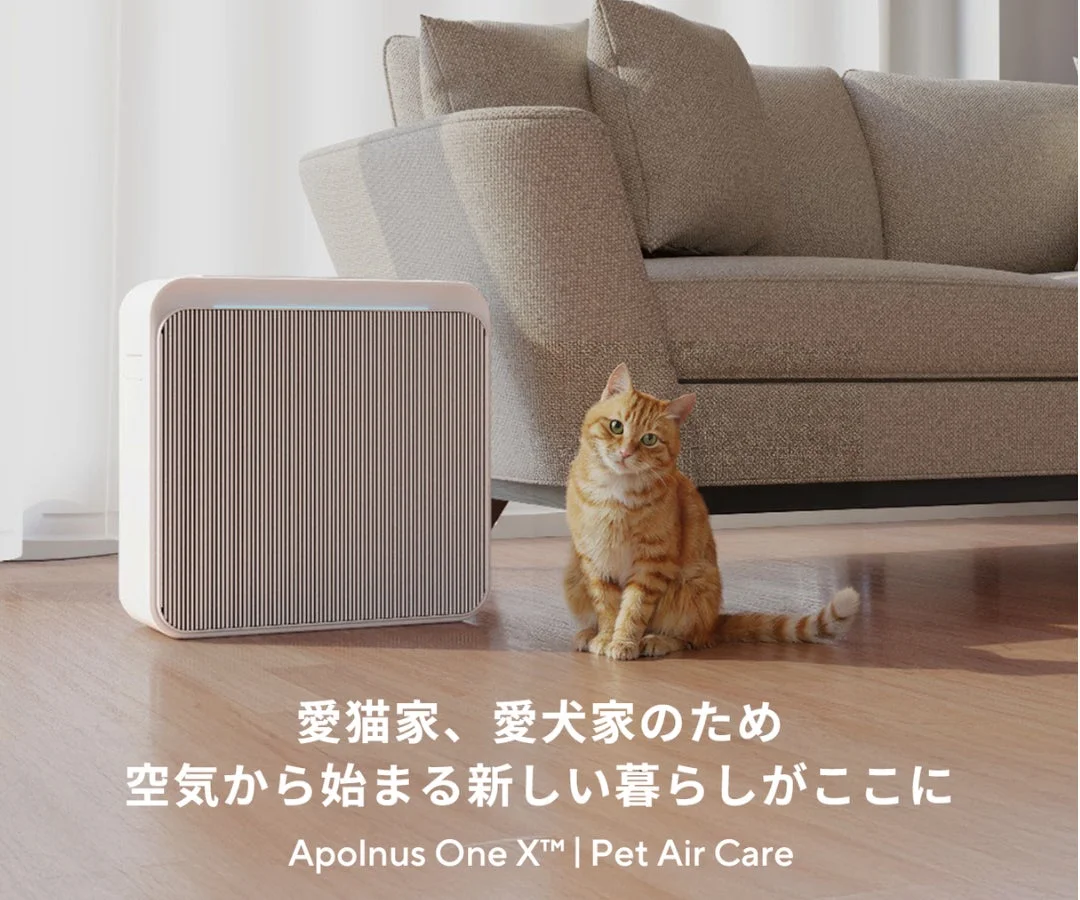 リビングルームで空気清浄機の隣に座る茶トラ猫が写っています。