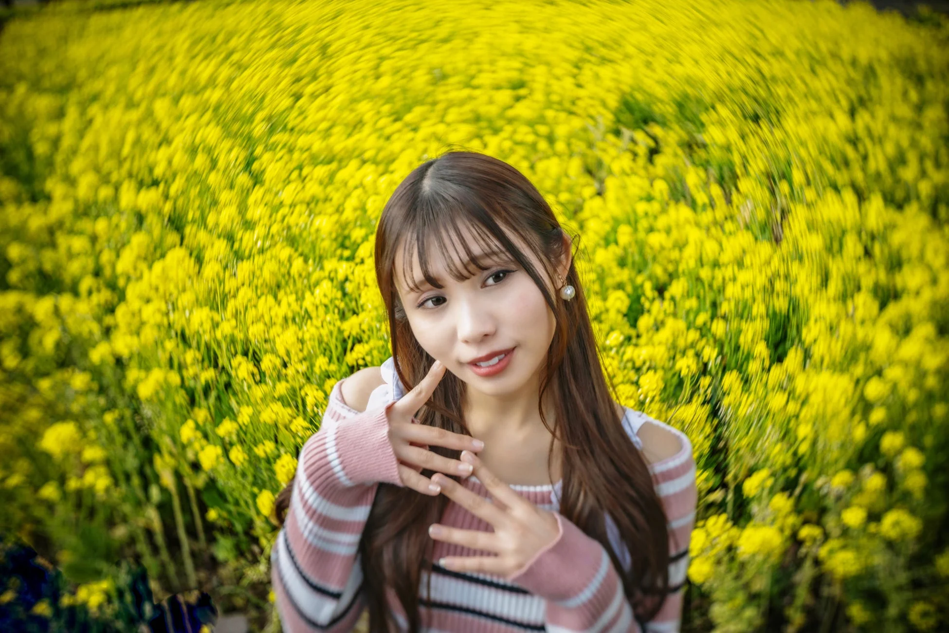 菜の花畑の渦巻きボケ