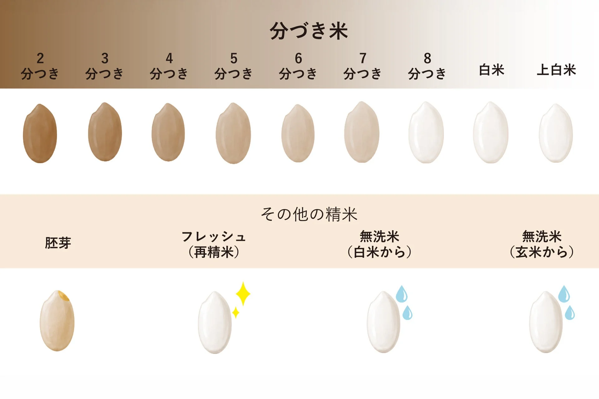 精米度合いによる米の比較